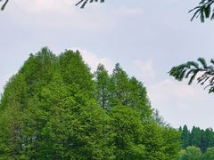 -尚湖风景区