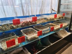 水产区-华盛丰温州大排档(东三环南路店)