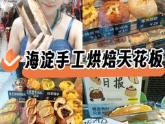 -面包日报