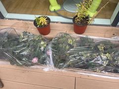 -小象润知早教·托育·幼儿园成长中心