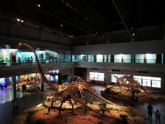 -自贡恐龙博物馆