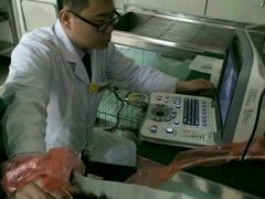 android_upload_pic-康乐宝动物医院