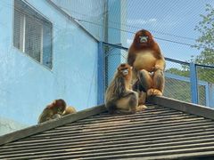 -大连森林动物园