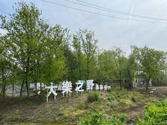 -合肥滨湖国家森林公园