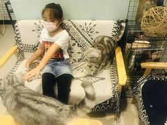-平行世界·猫咖(首经贸店)