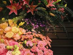 -春暖花开(西溪店)