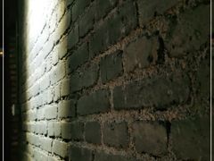 -吹泡·Triphop(棋盘店)
