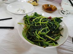 -明升萝卜汤