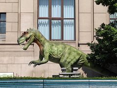 -国家自然博物馆