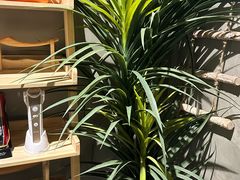 -施奈儿.洗头頭療.按摩SPA.采耳(上梅林店)