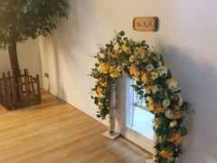 -Husky Go! 哈士奇体验馆·宠物咖啡厅狗咖