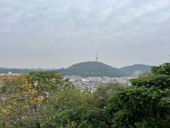 -佛山华盖山公园