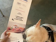 -the rug 飞毯 (朝阳公园店)