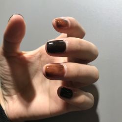 -BELLAREAL新美社