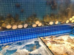 水产区-乔哥铭洋海鲜自助(皇城恒隆广场店)