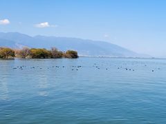 -大理洱海