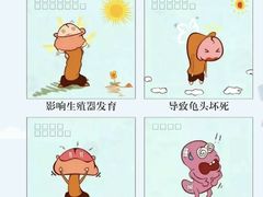 -沈阳沈大医院