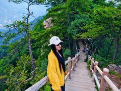 -西安祥峪森林公园