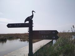 -盐城丹顶鹤湿地生态旅游区