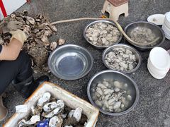 生蚝-花苑美食横琴生蚝火锅(拱北粤华路店)