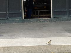 -浙江省博物馆(孤山馆区)