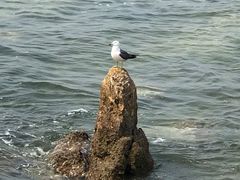-长岛南北长山旅游景区