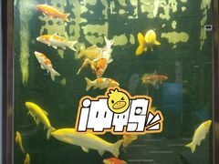 -弘安丽水温泉酒店