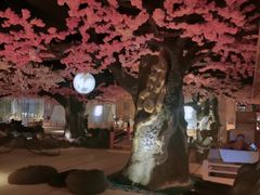 -蓝鲸湾汤泉(包河店)