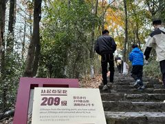 -云碧峰国家森林公园
