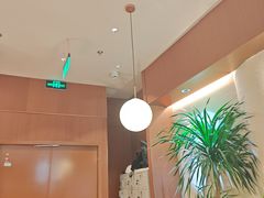 -奈雪的茶(石家庄万象城店)