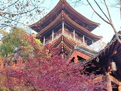 -鼓楼(西湖风景名胜区)