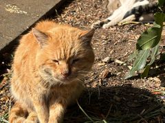 -狼山风景名胜区