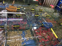 -明记海鲜大排档(巽寮湾店)