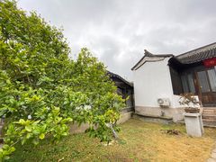 -雨花胜境
