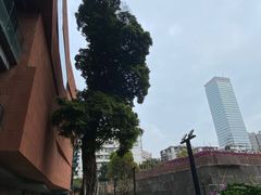 -南越王博物院(王宫展区)