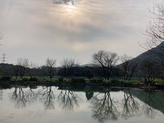 -八卦田遗址公园