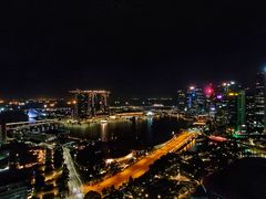 -新加坡瑞士史丹福酒店