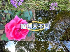 -观山湖公园