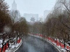 -环城公园