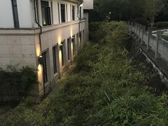 -东航云逸酒店(九溪烟树店)