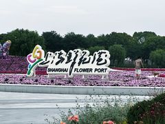 -上海鲜花港