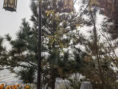 -天津盘山风景名胜区