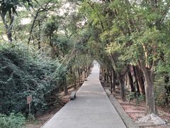 -红花山公园
