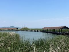 -苏州太湖湖滨国家湿地公园