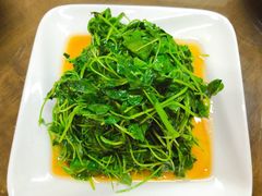 -协和菜馆(凤凰街店)