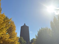 -玲珑塔公园
