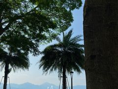-深圳湾公园(南山区)