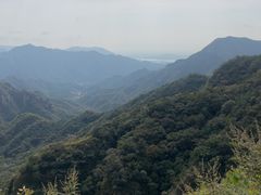 -大岭沟猕猴桃谷风景区