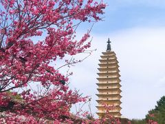 -崇圣寺三塔文化旅游区