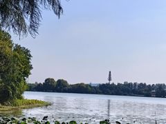-东湖落雁景区